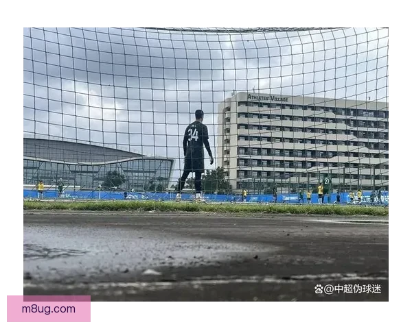 北青解读拉莫斯加盟影响斯帕吉奇去留系于国安外援政策新赛季前景